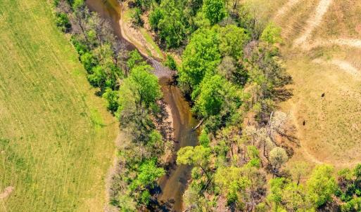 Photo #4 of DOCS, AMISSVILLE, VA 54.9 acres