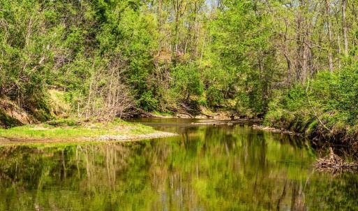 Photo #8 of DOCS, AMISSVILLE, VA 54.9 acres