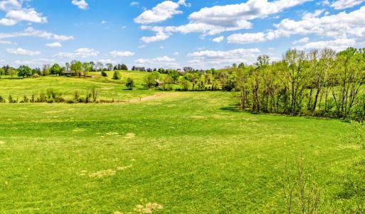 Photo #10 of DOCS, AMISSVILLE, VA 54.9 acres