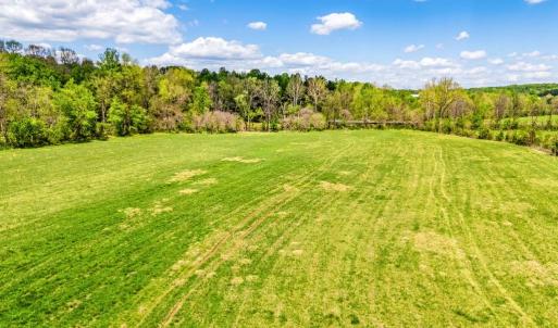 Photo #11 of DOCS, AMISSVILLE, VA 54.9 acres