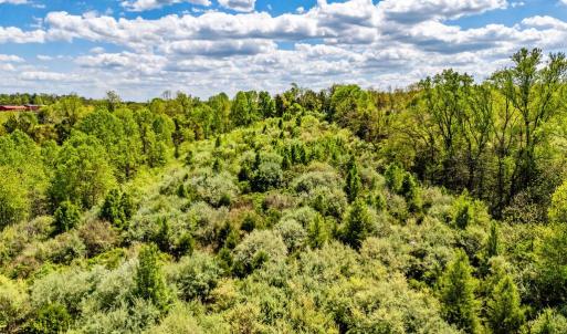 Photo #12 of DOCS, AMISSVILLE, VA 54.9 acres