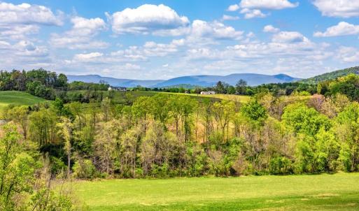 Photo #14 of DOCS, AMISSVILLE, VA 54.9 acres