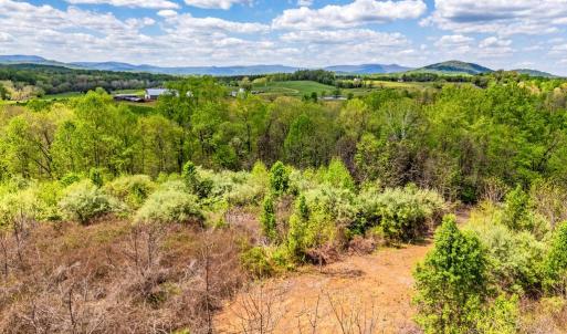 Photo #20 of DOCS, AMISSVILLE, VA 54.9 acres