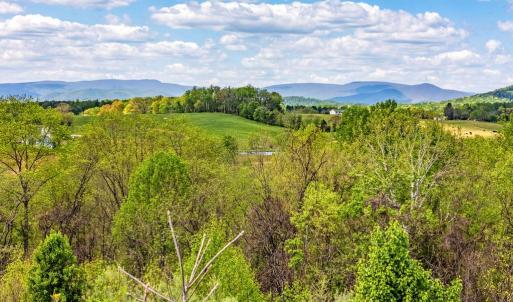 Photo #21 of DOCS, AMISSVILLE, VA 54.9 acres