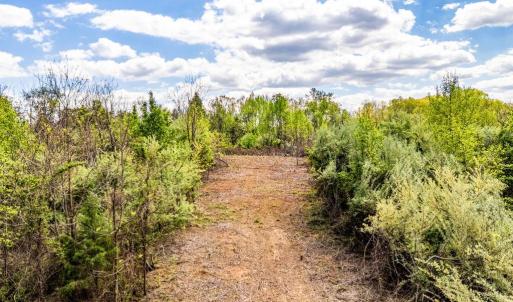 Photo #22 of DOCS, AMISSVILLE, VA 54.9 acres