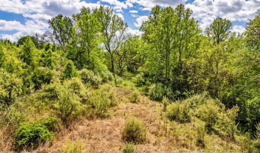 Photo #23 of DOCS, AMISSVILLE, VA 54.9 acres