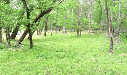 Photo #11 of HAZEL RIVER RD, RIXEYVILLE, VA 31.9 acres