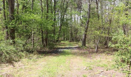 Photo #19 of HAZEL RIVER RD, RIXEYVILLE, VA 31.9 acres