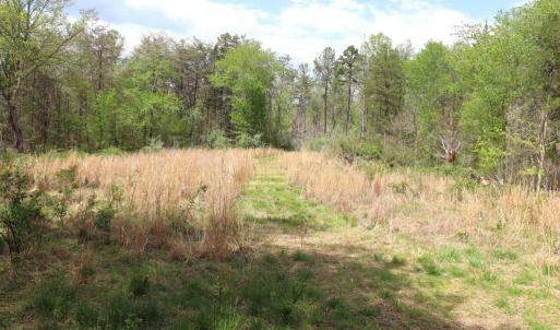 Photo #20 of HAZEL RIVER RD, RIXEYVILLE, VA 31.9 acres