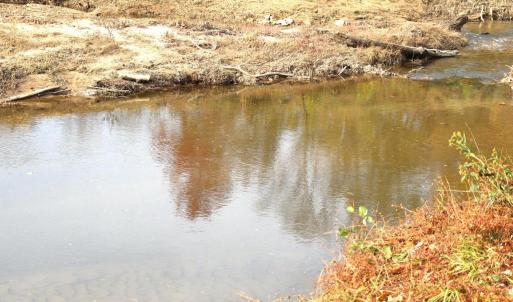 Photo #10 of HAZEL RIVER RD, RIXEYVILLE, VA 31.9 acres