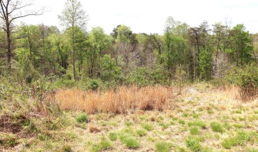 Photo #24 of HAZEL RIVER RD, RIXEYVILLE, VA 31.9 acres