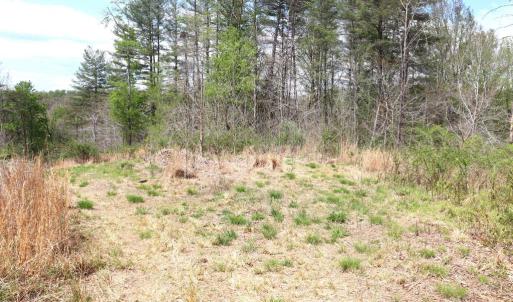Photo #25 of HAZEL RIVER RD, RIXEYVILLE, VA 31.9 acres
