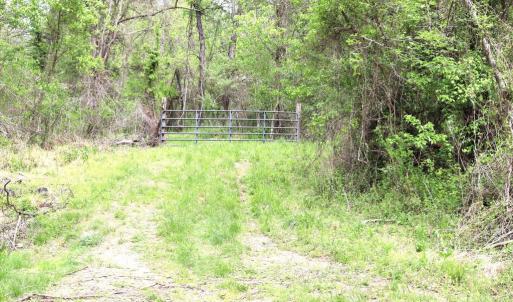 Photo #4 of HAZEL RIVER RD, RIXEYVILLE, VA 31.9 acres