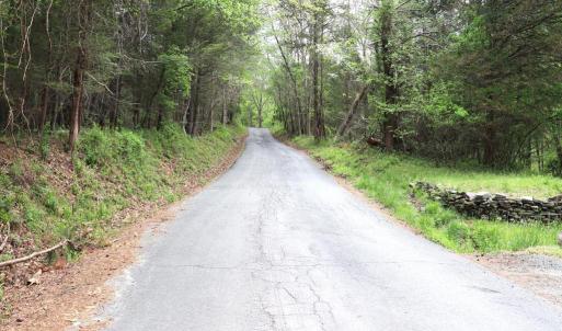 Photo #30 of HAZEL RIVER RD, RIXEYVILLE, VA 31.9 acres