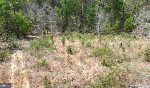 Photo #28 of HAZEL RIVER RD, RIXEYVILLE, VA 31.9 acres