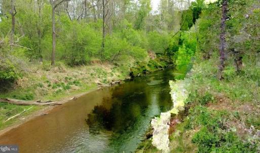 Photo #9 of HAZEL RIVER RD, RIXEYVILLE, VA 31.9 acres