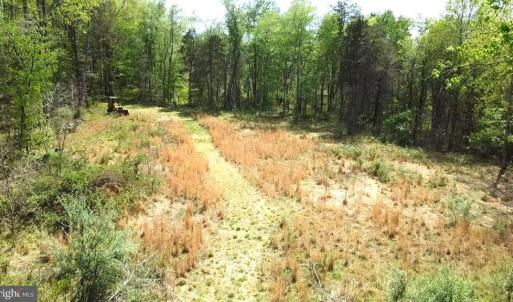 Photo #23 of HAZEL RIVER RD, RIXEYVILLE, VA 31.9 acres