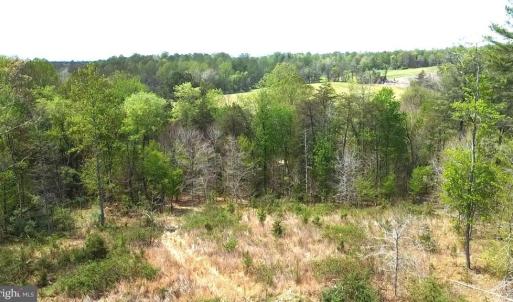 Photo #3 of HAZEL RIVER RD, RIXEYVILLE, VA 31.9 acres