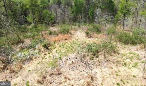 Photo #27 of HAZEL RIVER RD, RIXEYVILLE, VA 31.9 acres