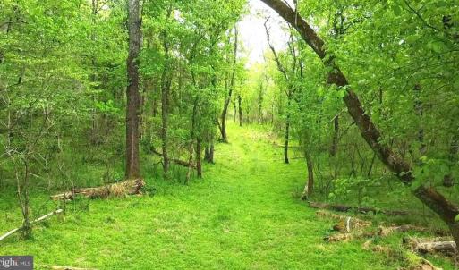 Photo #5 of HAZEL RIVER RD, RIXEYVILLE, VA 31.9 acres