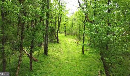 Photo #7 of HAZEL RIVER RD, RIXEYVILLE, VA 31.9 acres
