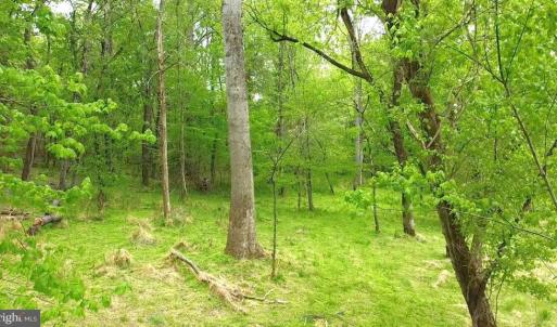 Photo #12 of HAZEL RIVER RD, RIXEYVILLE, VA 31.9 acres