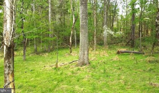 Photo #13 of HAZEL RIVER RD, RIXEYVILLE, VA 31.9 acres