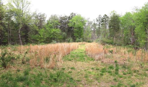 Photo #22 of HAZEL RIVER RD, RIXEYVILLE, VA 31.9 acres