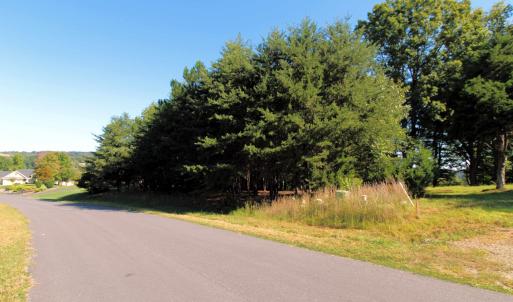 Road front