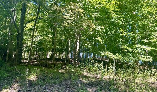 Whisperwood Lot 1