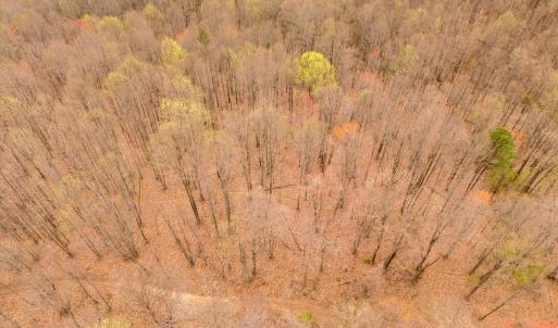 17-Adventure Mountain Rd_17
