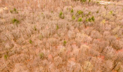 18-Adventure Mountain Rd_18