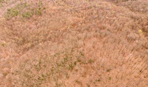 19-Adventure Mountain Rd_19