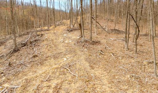 20-Adventure Mountain Rd_20