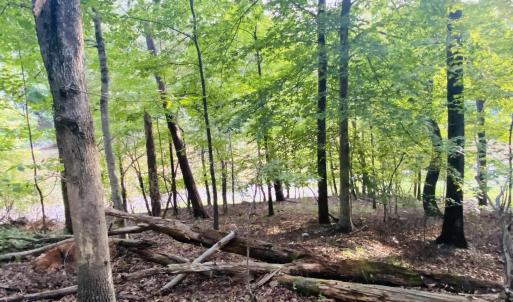 gentle slope Lot 3 Cedar Bluff Ln