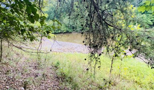 water Lot 3 Cedar Bluff Ln