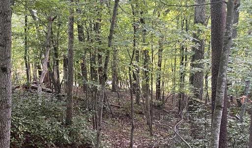 woods Lot 3 Cedar Bluff Ln