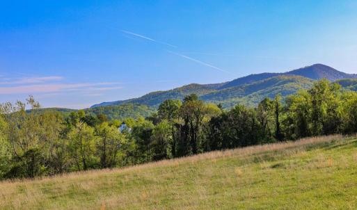 Photo #6 of PORTION OF TAX ID 38-71, SPERRYVILLE, VA 17.6 acres