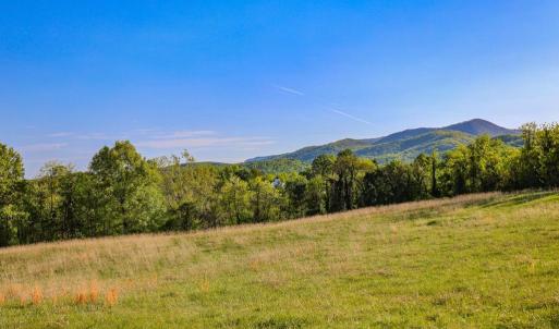 Photo #5 of PORTION OF TAX ID 38-71, SPERRYVILLE, VA 17.6 acres