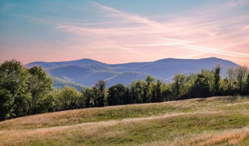 Photo #2 of PORTION OF TAX ID 38-71, SPERRYVILLE, VA 17.6 acres