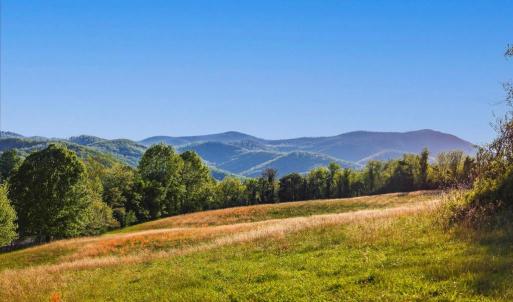 Photo #4 of PORTION OF TAX ID 38-71, SPERRYVILLE, VA 17.6 acres