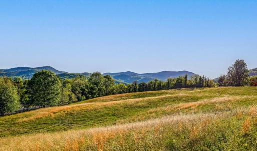 Photo #3 of PORTION OF TAX ID 38-71, SPERRYVILLE, VA 17.6 acres