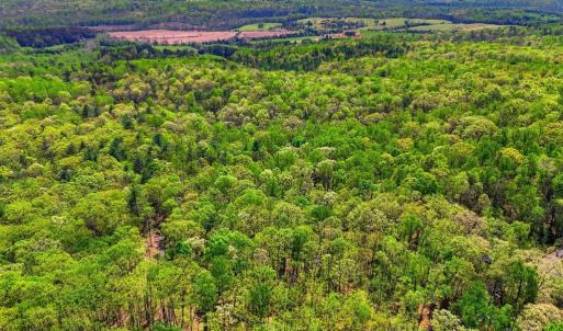 Photo #6 of OBANNONS MILL RD, BOSTON, VA 10.1 acres