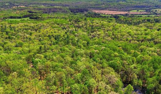 Photo #8 of OBANNONS MILL RD, BOSTON, VA 10.1 acres