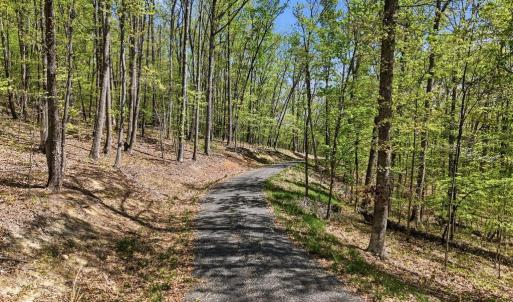 Photo #12 of OBANNONS MILL RD, BOSTON, VA 10.0 acres