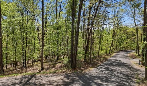 Photo #13 of OBANNONS MILL RD, BOSTON, VA 10.0 acres