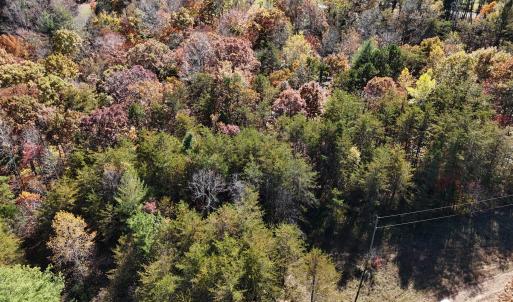 DJI_20241102133324_0072_D