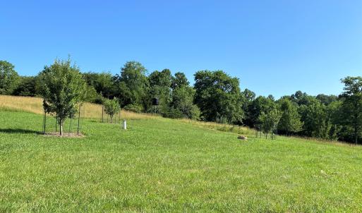 Open Fields above Garage