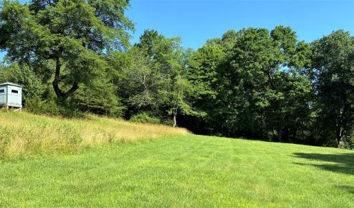 Food Plot w/Deer Stand