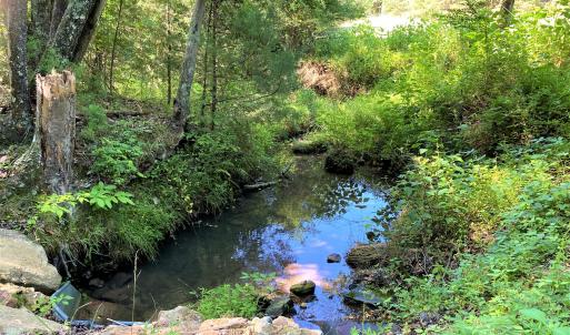 Year Round Stream
